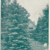 Zahrada Wannieckovy vily (cca 1920)